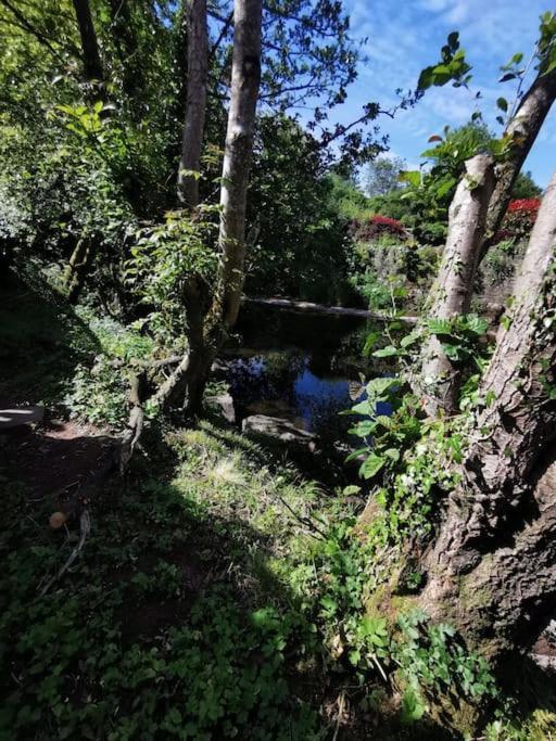Glan-Yr-Afon Cottage Two Bedrooms Sennybridge Bagian luar foto